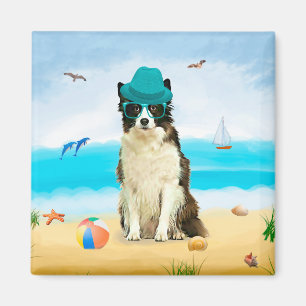 Imán Borde de Perro Collie en la playa