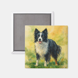 Imán Border Collie