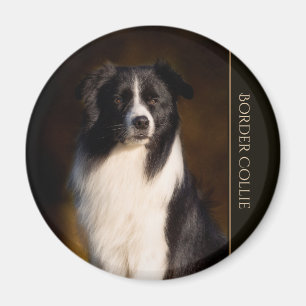Imán Border collie