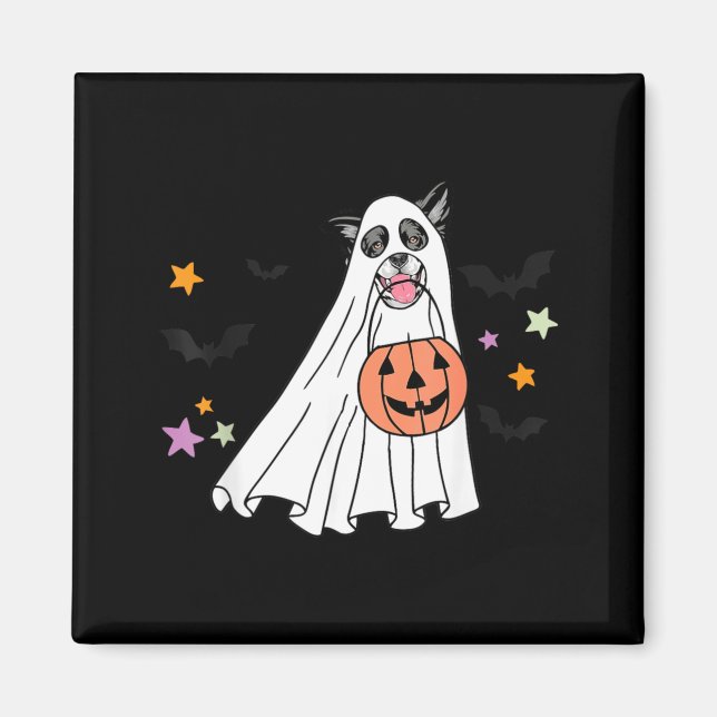 Imán Border Collie Boo Perro Halloween Blanco Y Negro (Frente)