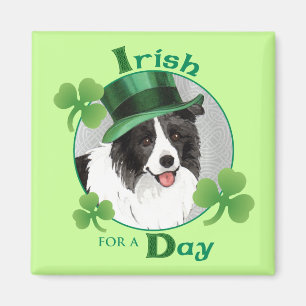 Imán Border collie del día de St Patrick