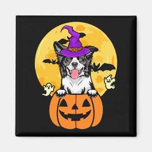 Imán Border Collie negro y blanco Bruja Perro Halloween