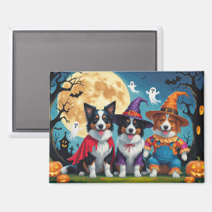 Imán Border Collies Perros Calabaza Halloween Divertido
