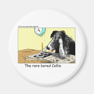 Imán Bored Border Collie Funny Gifts Tees Colectibles