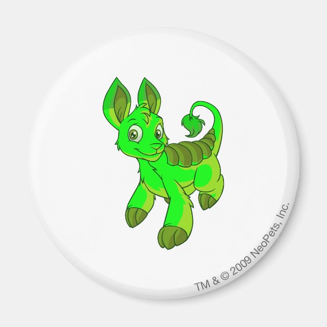 Imán Bori Gslow (Frente)