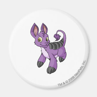 Imán Bori Purple