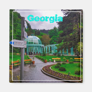 Imán Borjomi Georgia Hot Springs Caucuses Montañas