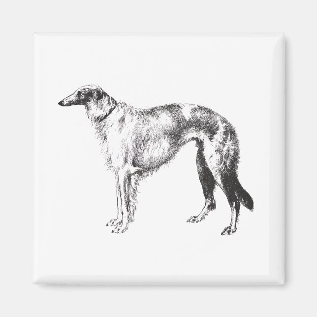 Imán Borzoi Martynow Etching (Frente)