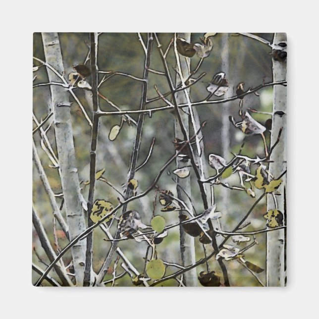 Imán Bosque Aspen (Frente)