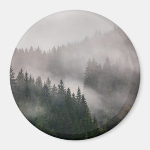 Imán Bosque brumoso en las montañas