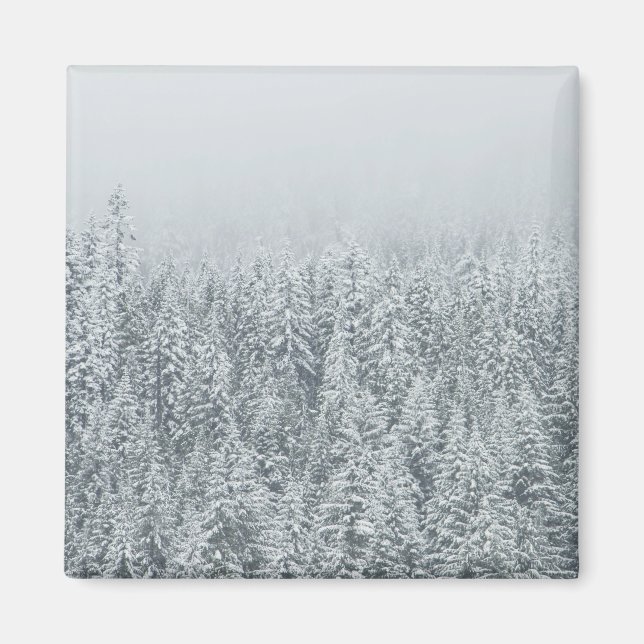 Imán Bosque cubierto de nieve (Frente)