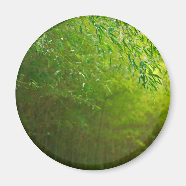 Imán Bosque de Bambú (Frente)