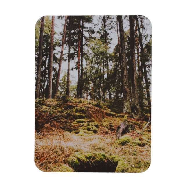 Imán Bosque de cuento de hadas en el archipiélago sueco (Vertical)