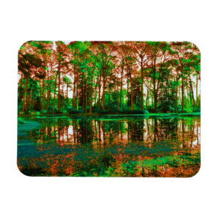 Imán Bosque de fantasía por Shirley Taylor