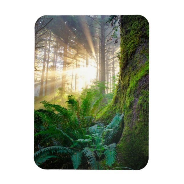 Imán Bosque de la Costa Pacífica, Oregón (Vertical)