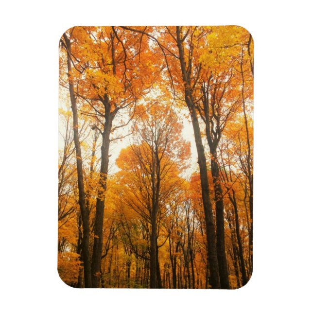 Imán Bosque de otoño naranja (Vertical)