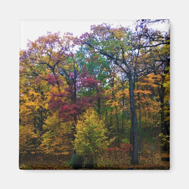 Imán Bosque de otoño oscuro (Frente)