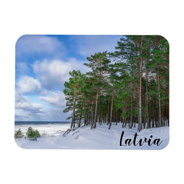 Imán Bosque de pino cerca de la costa marítima de Leton (Horizontal)