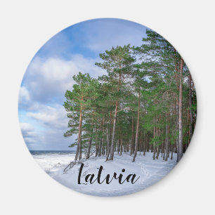 Imán Bosque de pino cerca de la costa marítima de Leton