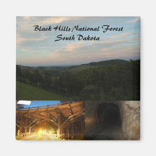 Imán Bosque del Estado de Black Hills