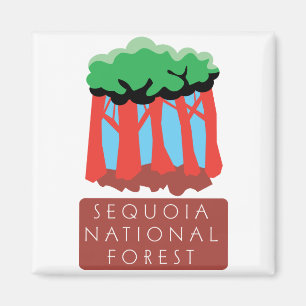 Imán Bosque del Estado de la secoya