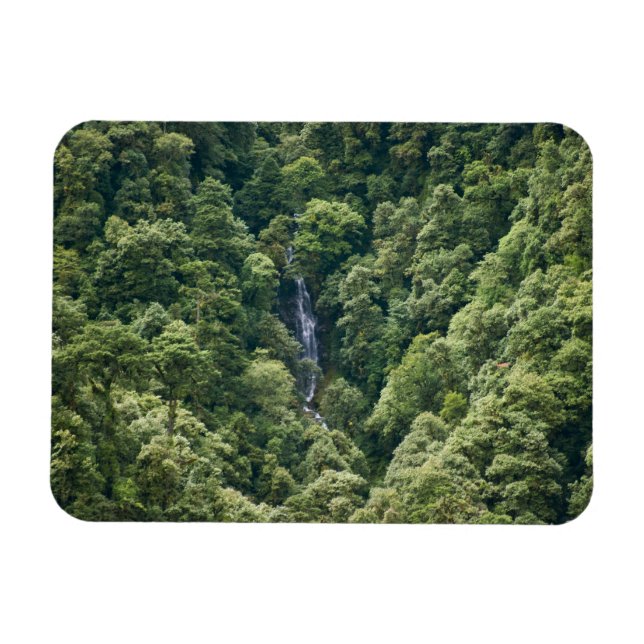 Imán Bosque del Himalaya en el valle de Mangdue, Bután (Horizontal)
