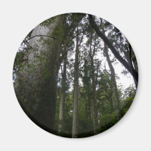 Imán Bosque del Kauri