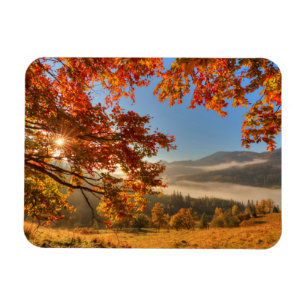 Imán Bosque del otoño en las montañas
