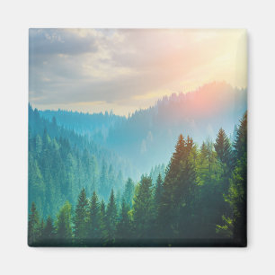 Imán Bosque en las dolomías, Italia del pino