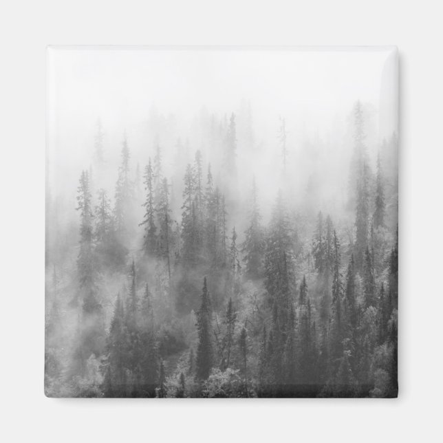Imán Bosque en niebla (Frente)