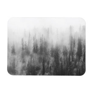 Imán Bosque en niebla