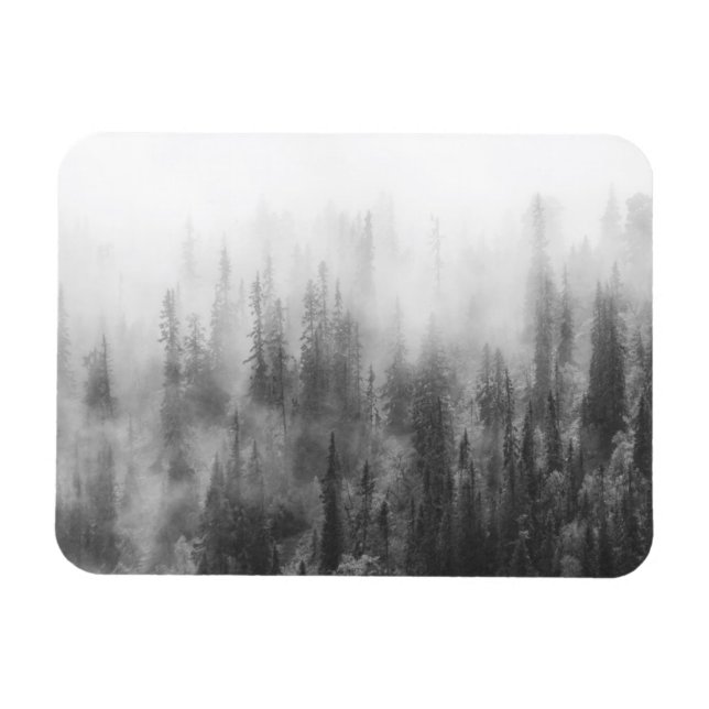 Imán Bosque en niebla (Horizontal)
