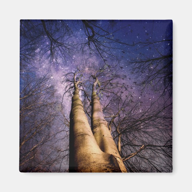 Imán Bosque encantado (Frente)