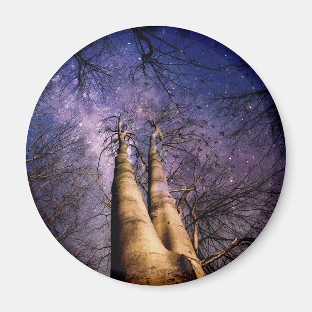 Imán Bosque encantado (Frente)