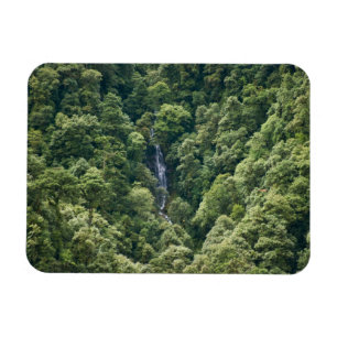 Imán Bosque Himalaya en el valle del Mangdue, Bután