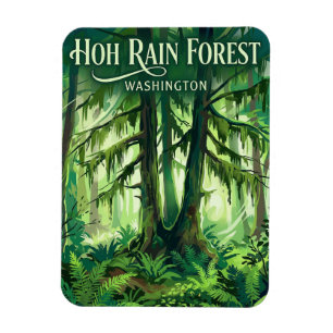 Imán Bosque lluvioso de Hoh Washington