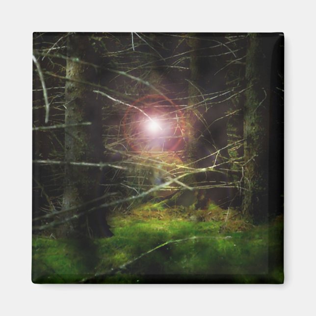 Imán Bosque místico (Frente)