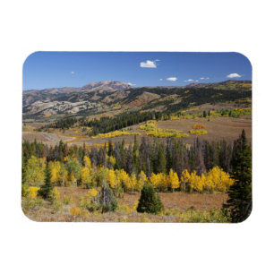 Imán Bosque nacional Bridger-Teton