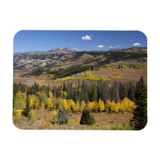 Imán Bosque nacional Bridger-Teton (Horizontal)