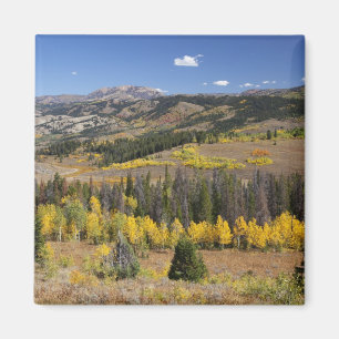 Imán Bosque nacional Bridger-Teton