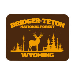 Imán Bosque nacional Bridger-Teton