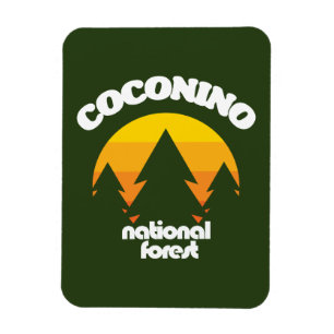 Imán Bosque nacional de Coconino