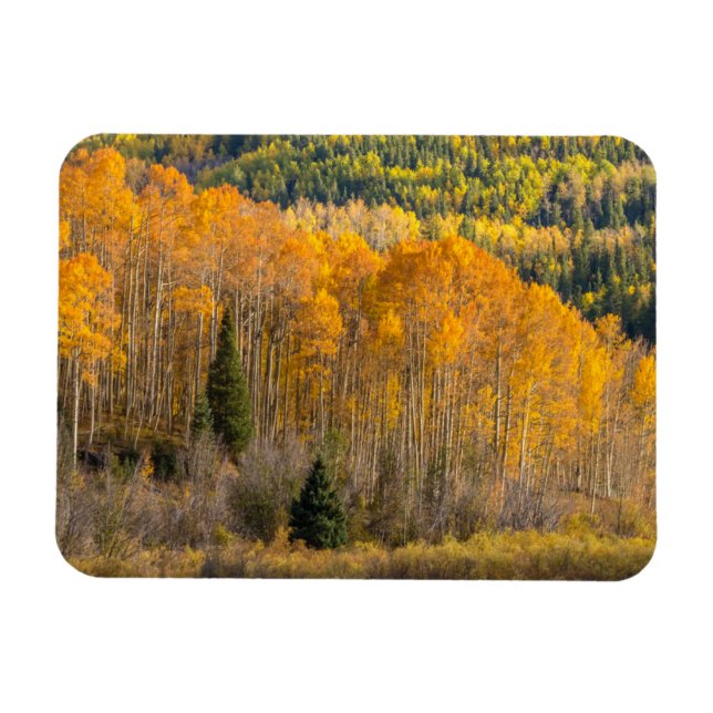 Imán Bosque nacional de Gunnison (Horizontal)