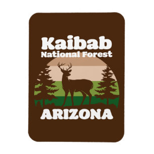 Imán Bosque Nacional de Kaibab, Arizona