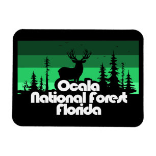 Imán Bosque nacional de Ocala Florida