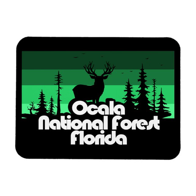 Imán Bosque nacional de Ocala Florida (Horizontal)