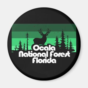 Imán Bosque nacional de Ocala Florida