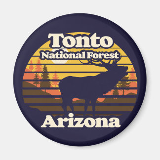 Imán Bosque Nacional de Tonto Arizona
