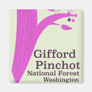 Imán Bosque Nacional Gifford Pinchot Washington