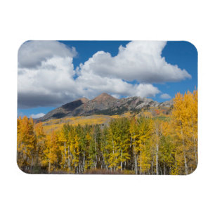 Imán Bosque Nacional Gunnison, Colorado
